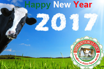 Happy New Year